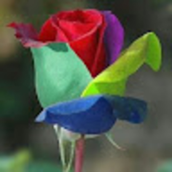 labellejoanne1